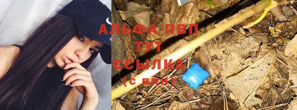 прущие крисы Абинск