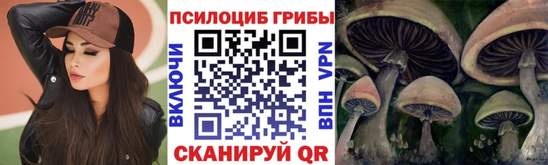 Галлюциногенные грибы Cubensis Севастополь