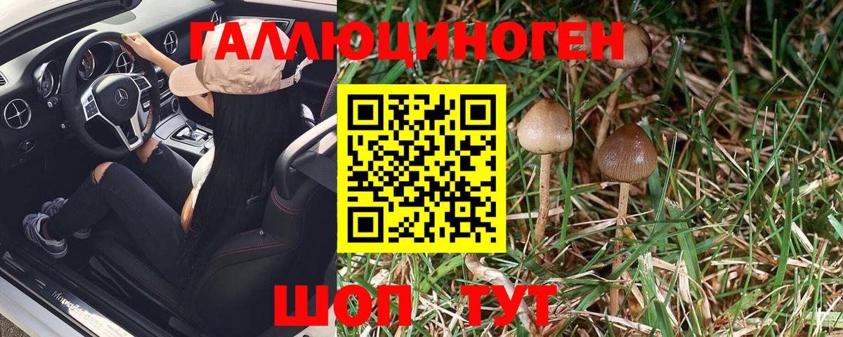 Севастополь  Псилоцибиновые грибы Psilocybe  Галлюциногенные грибы ЛСД  Вход с VPN 
